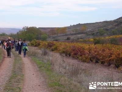 Enología en Rioja - Senderismo Camino de Santiago; senderisme catalunya